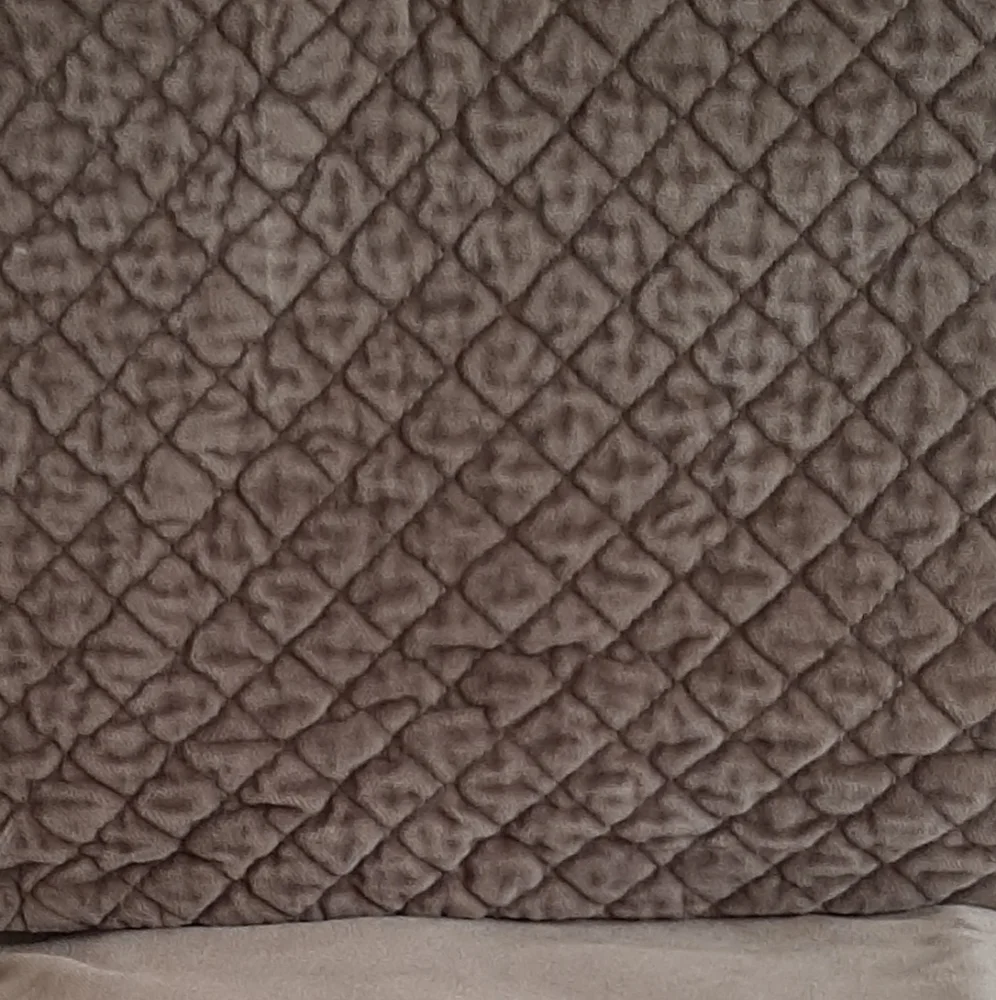 *Williams Sonoma Diamond Velvet Euro Shams
